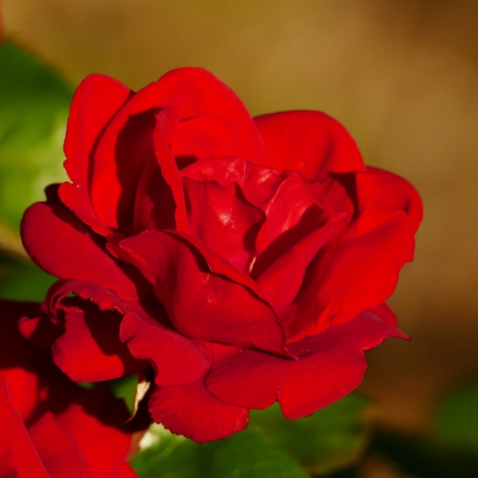 rosegarden6-17-15-065